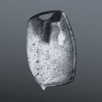 The Body Buffer - Image 4